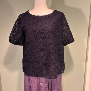 Ann Taylor loft women’s baby blue lace top W/short sleeves size m